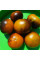 Tomato seeds «Muddy waters»