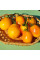 Tomato seeds «Pastel sleeves»