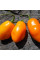 Hot pepper seeds «Uruguay seasoning»