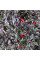 Hot pepper seeds «Colencore variegated»