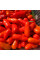 Hot pepper seeds «Chilito de simojovel»