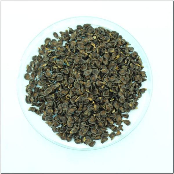 Hot pepper seeds «Rokoto mini yellow»