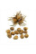 Turkish hazel seeds