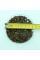 Caucasian persimmon seeds