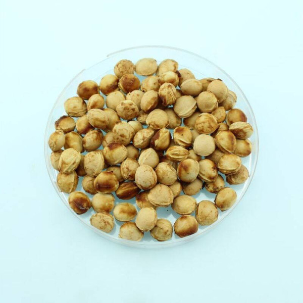 Sweet cherry seeds «Zhurba»