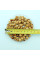 Sweet cherry seeds «Zhurba»