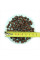 Pea seeds «Purple Blauwschokker»