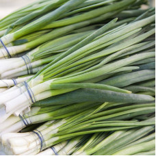 Onion seeds «Pierrot»