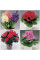 Fertilizer for flowering plants - 10 grams