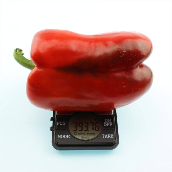 Sweet pepper seeds «Red giant»