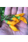 Hot pepper seeds «Aji Habanero»