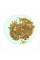 Cotoneaster horizontalis seeds