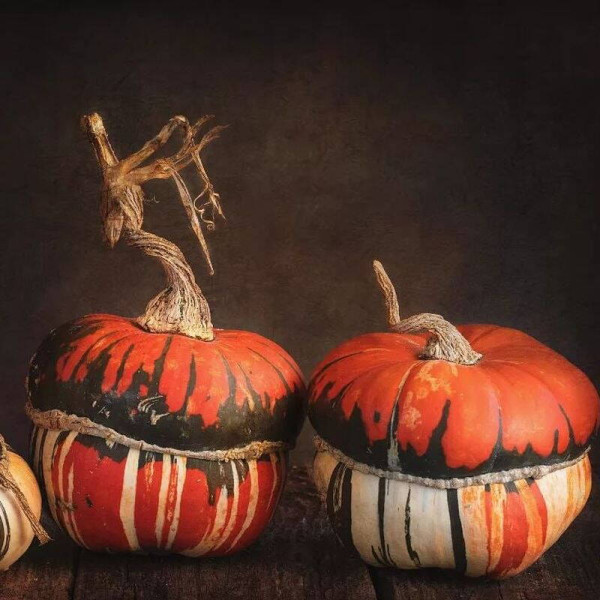 Pumpkin seeds «Turban»