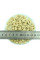 Trifoliate orange seeds