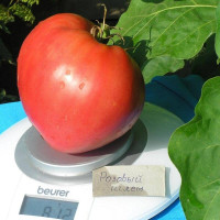 Tomato seeds «Pink helmet»