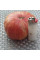 Tomato seeds «Chameleon»