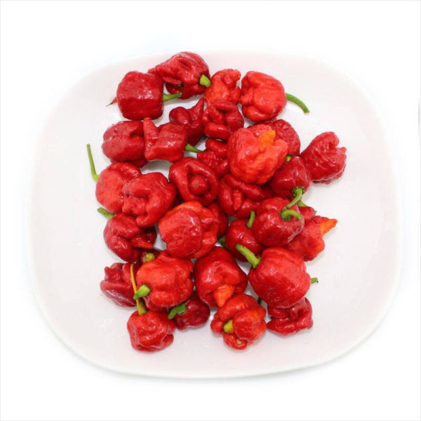 Hot pepper seeds «Carolina reaper red»