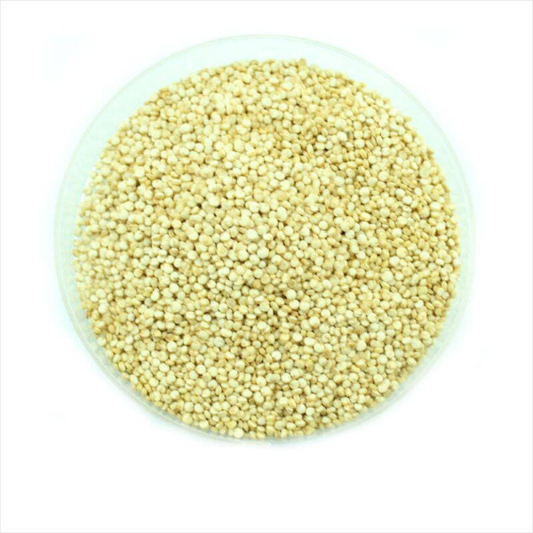 White quinoa seeds