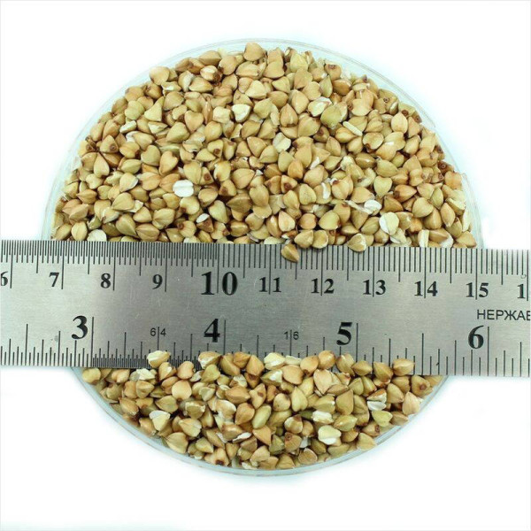 Green buckwheat seeds