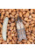 Trap «Household (food) moth»