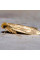 Trap «Household (food) moth»