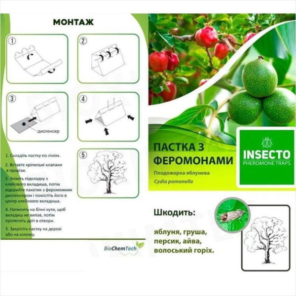 Trap «Codling moth»