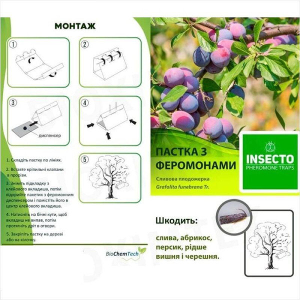 Trap «Plum moth»