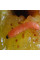 Trap «Plum moth»