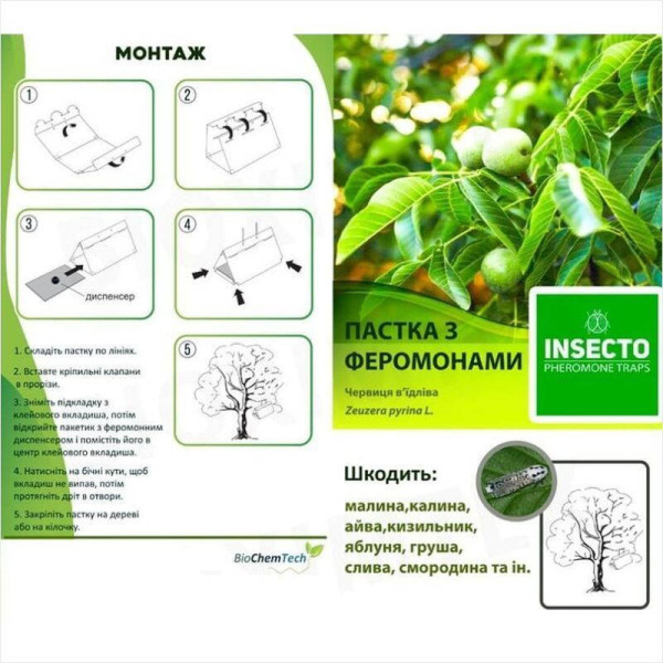 Ловушка «Древесница въедливая»