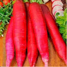 Daikon seeds «Red giant»