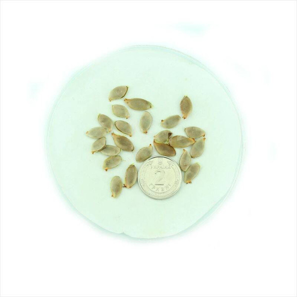 Carambola seeds