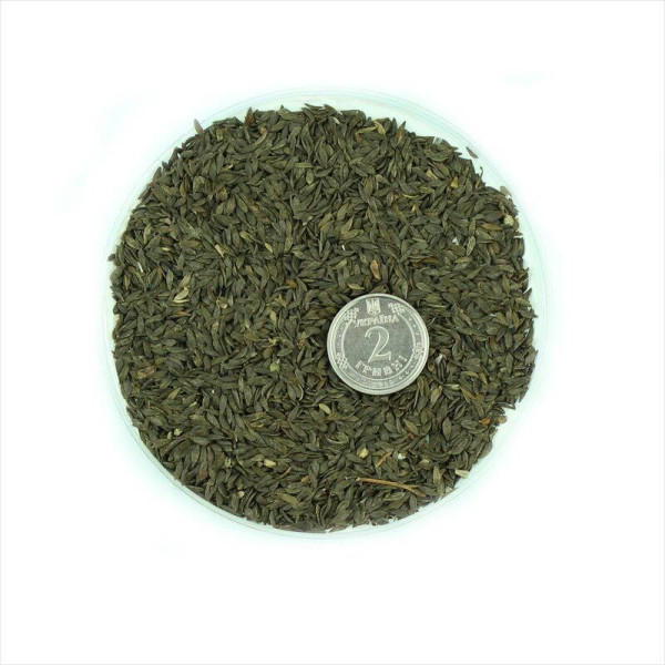 Salad seeds «Vyshyvanka»