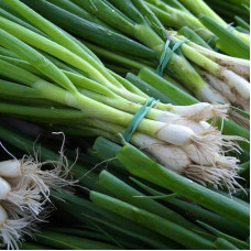 Onion seeds «Spring»