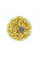 Corn seeds super sweet «Ramondia» F1