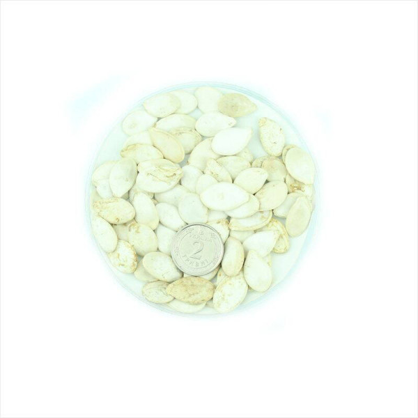Pumpkin seeds «Candy»