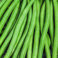 Bean seeds «Moliere»