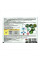 Insecticide «Phyto+ beetle eater for tomatoes, peppers, eggplant» - 5 ml + 10 ml