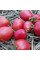 Tomato seeds «De-barao pink»