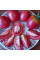 Tomato seeds «De-barao pink»