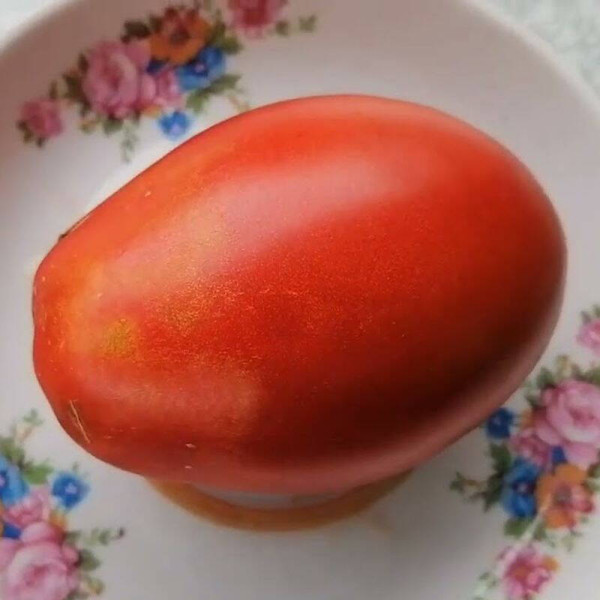 Tomato seeds «Sugar Giant»