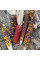 Corn seeds «Miniature rainbow» (mix)