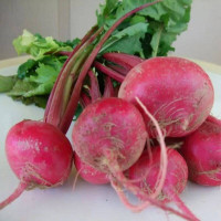 Radish seeds «Red winter»