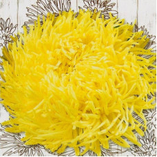 Семена астры «Золотце»