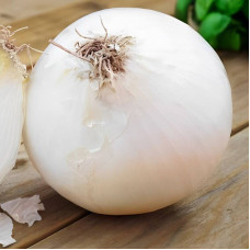 Onion seeds «White Queen»