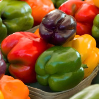 Sweet pepper seeds «Rainbow bells»