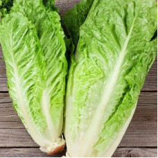Salad seeds «Parisian»