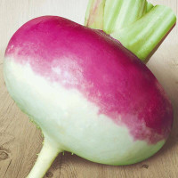 Turnip seeds «Purplepop»