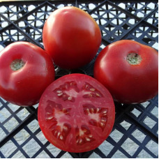 Tomato seeds «Hirten Tomate»