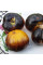 Tomato seeds «Purple Sunrise»