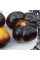 Tomato seeds «Purple Sunrise»